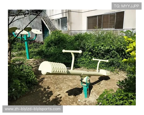 室外健身器材选购与安装指南