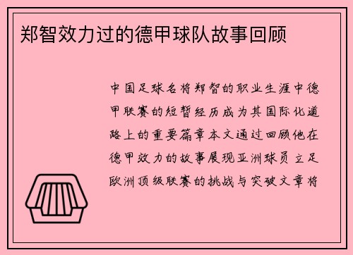 郑智效力过的德甲球队故事回顾