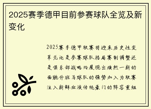 2025赛季德甲目前参赛球队全览及新变化
